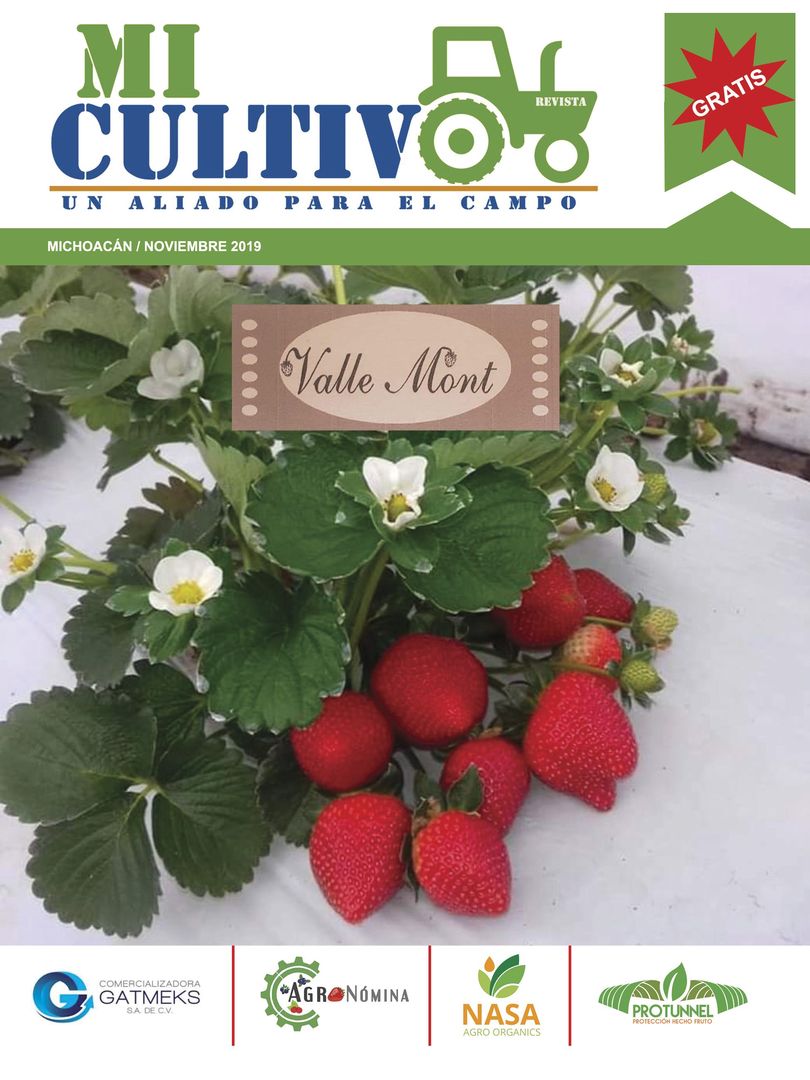 Revista mi cultivo pagina 01