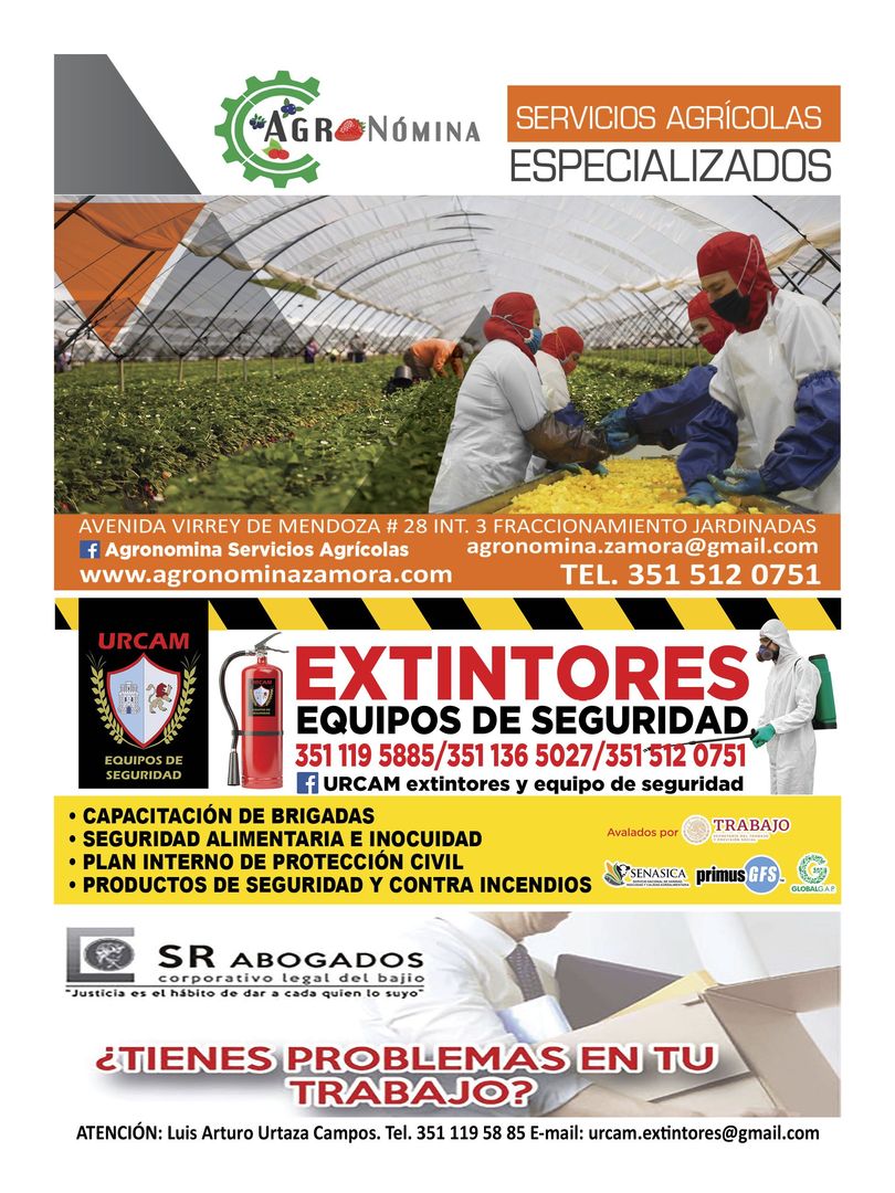 Revista mi cultivo pagina 02