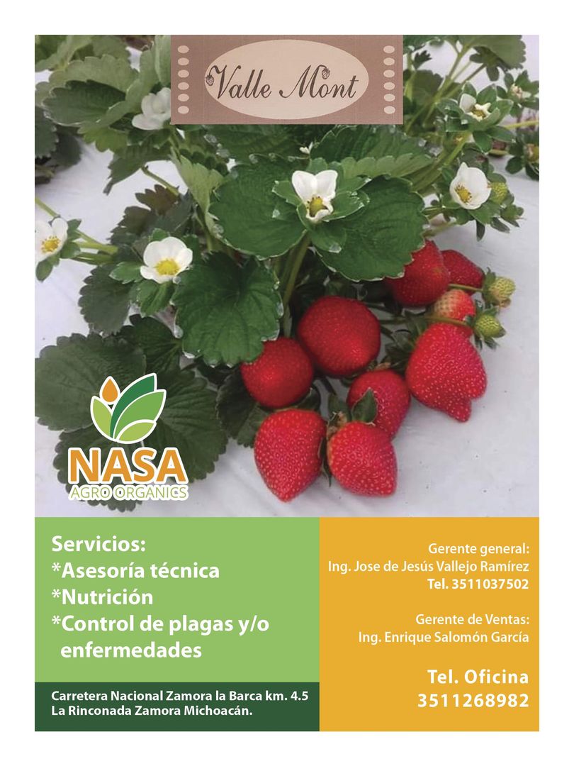 Revista mi cultivo pagina 04