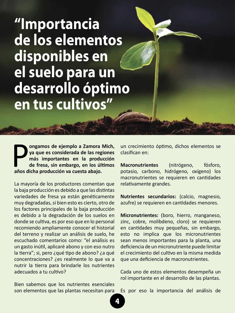 Revista mi cultivo pagina 06