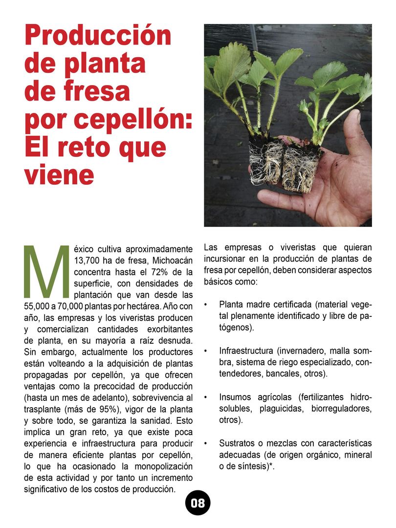 Revista mi cultivo pagina 10