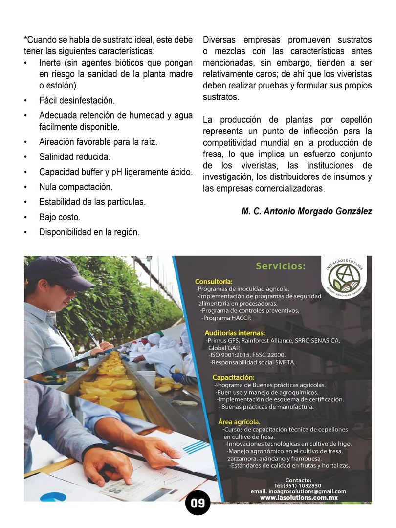 Revista mi cultivo pagina 11