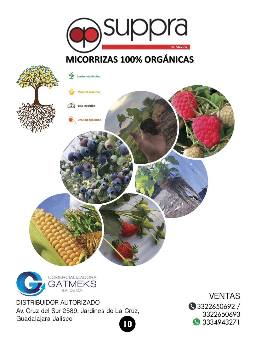 Revista mi cultivo pagina 12