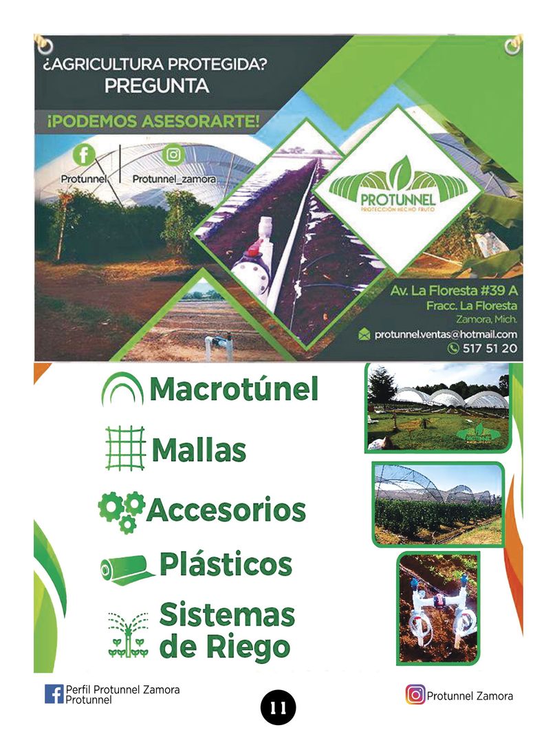 Revista mi cultivo pagina 13