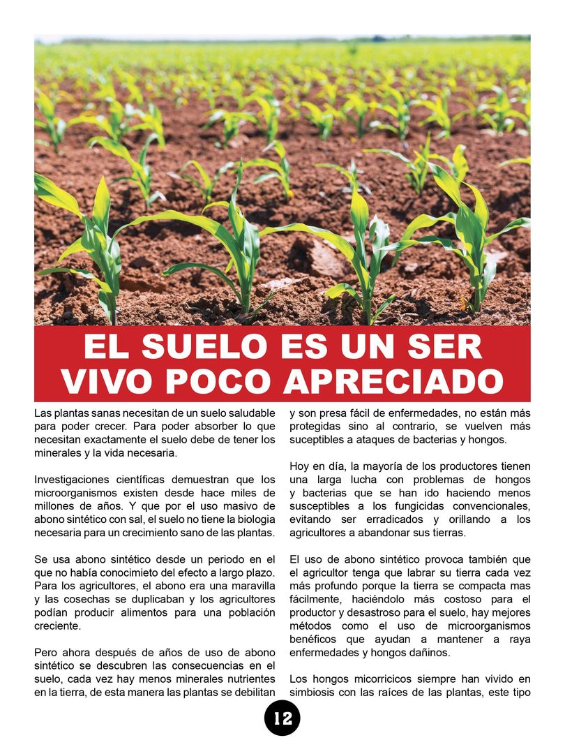 Revista mi cultivo pagina 14
