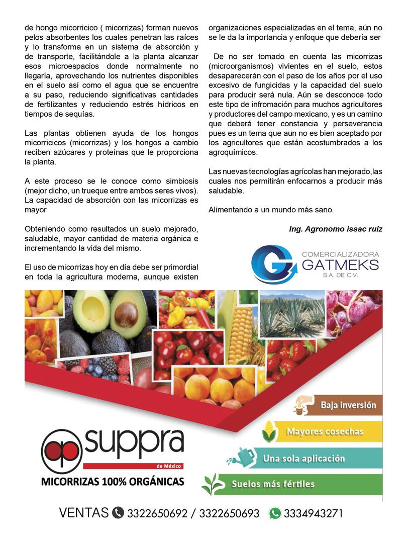 Revista mi cultivo pagina 15