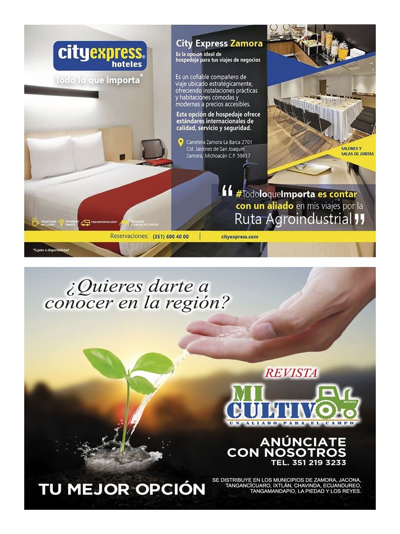 Revista mi cultivo pagina 16